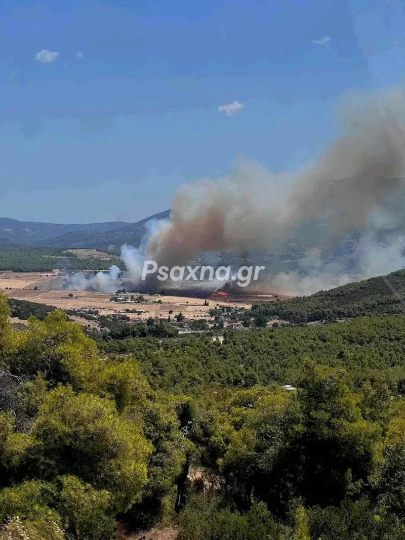 Φωτιά Εύβοια