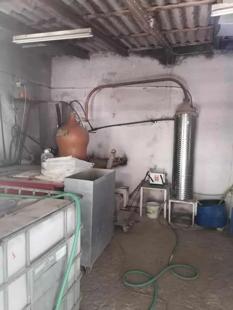 Αλκοόλ