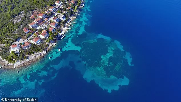 Αρχαιολόγοι ανακάλυψαν δρόμο της Λιθινης Εποχής, 7000 ετών, στο βυθό της Μεσογείου - Δείτε βίντεο και φωτογραφίες