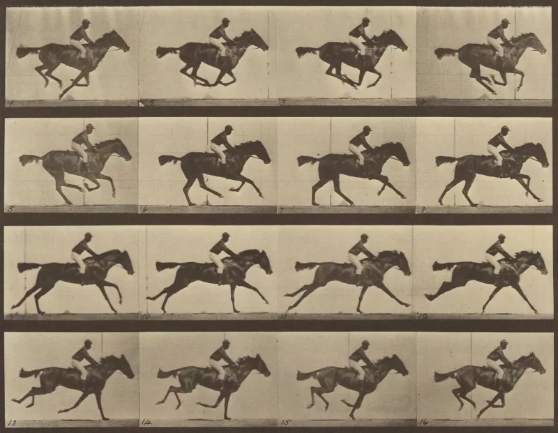 To έργο «The Horse in Motion» 