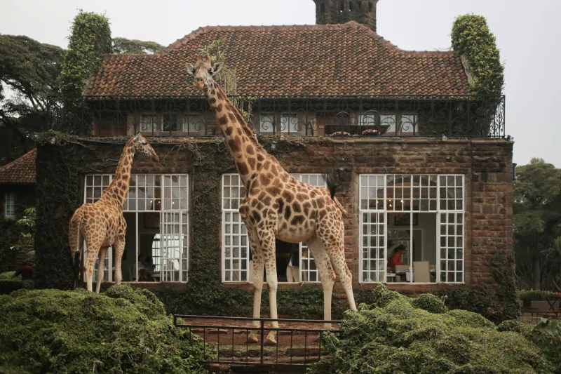 Amazing hotels