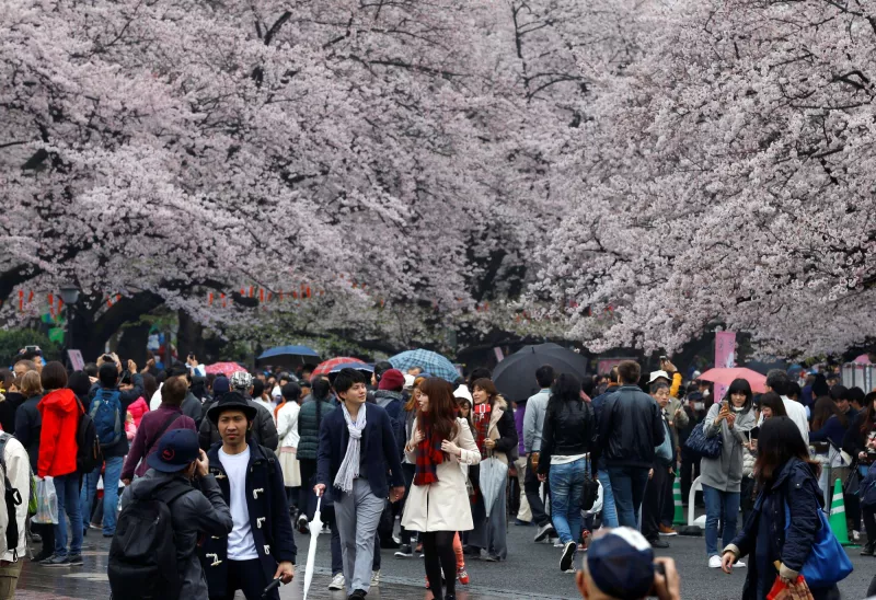 hanami