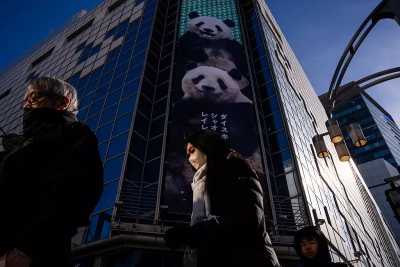 panda
