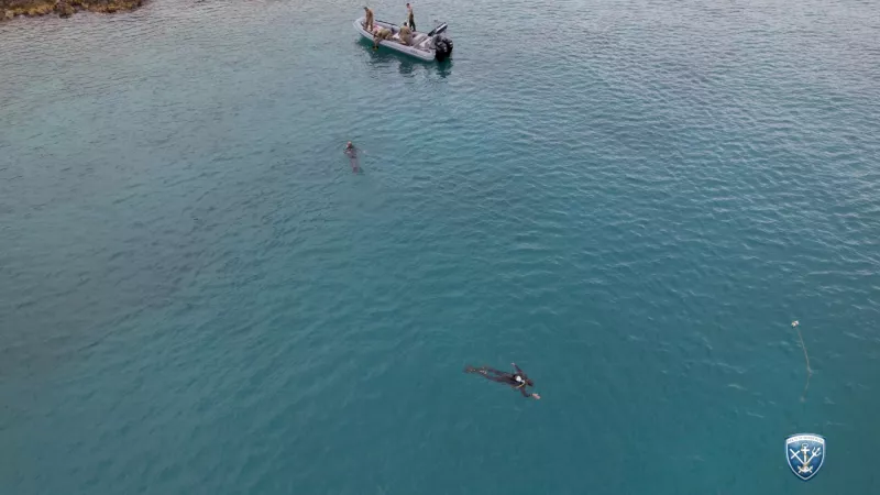 Askisi_AegeanSeal