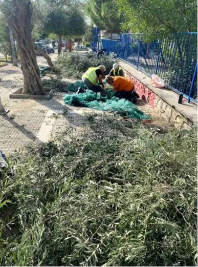 λιομαζωμα