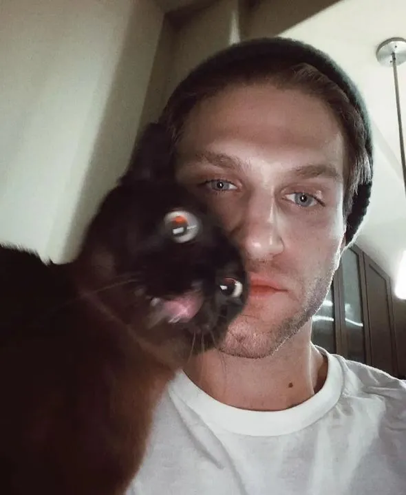 cat