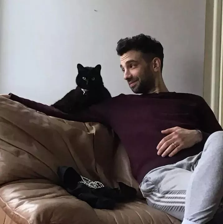 cat