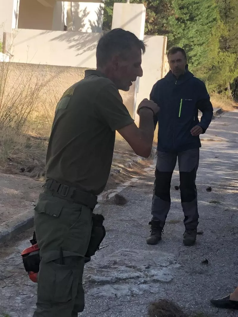 Δασική Υπηρεσία 