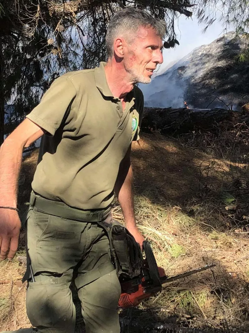 Δασική Υπηρεσία 