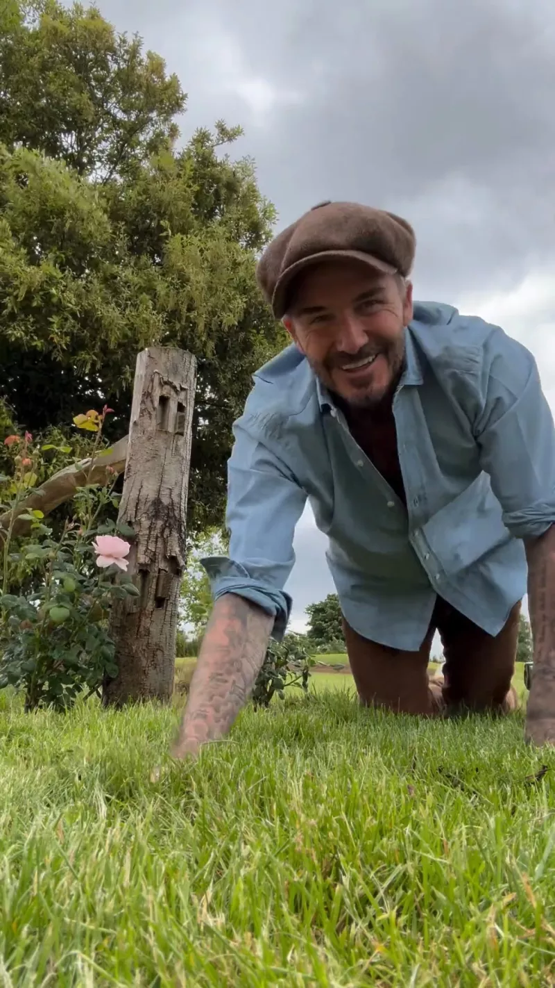 O David Beckham