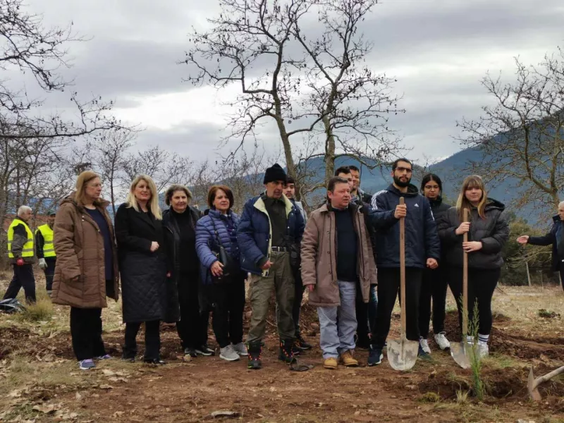 Δενδροφύτευση