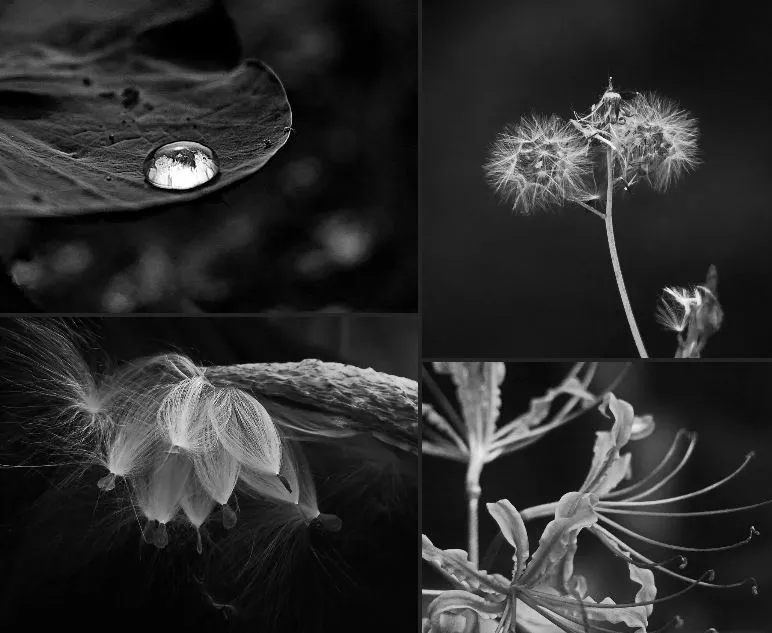 Zhiyu Zheng, China
