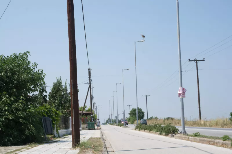 Πελαργός