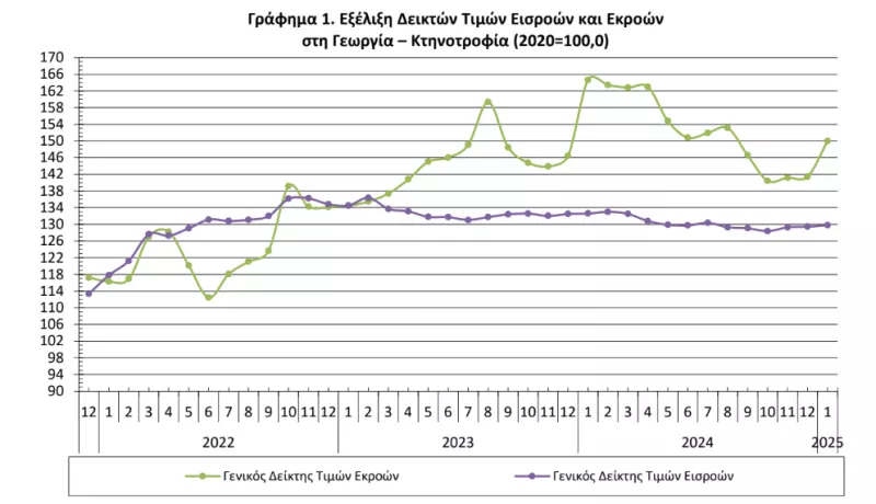 ΕΛΣΤΑΤ
