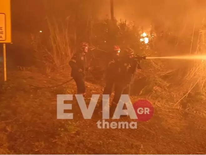 evoia