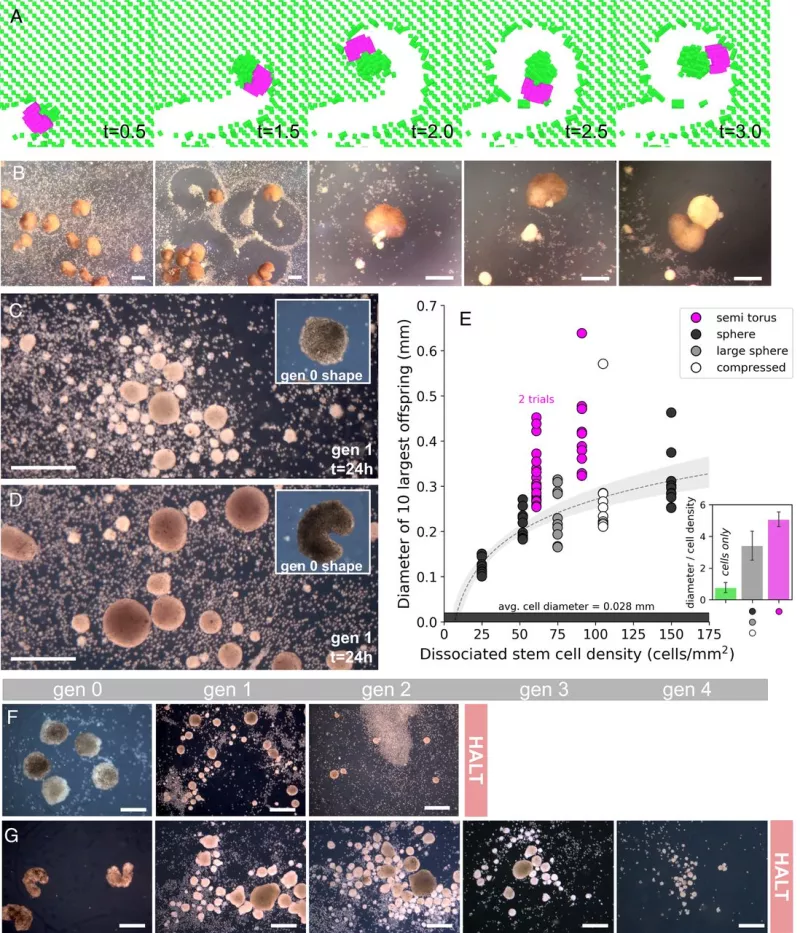PNAS