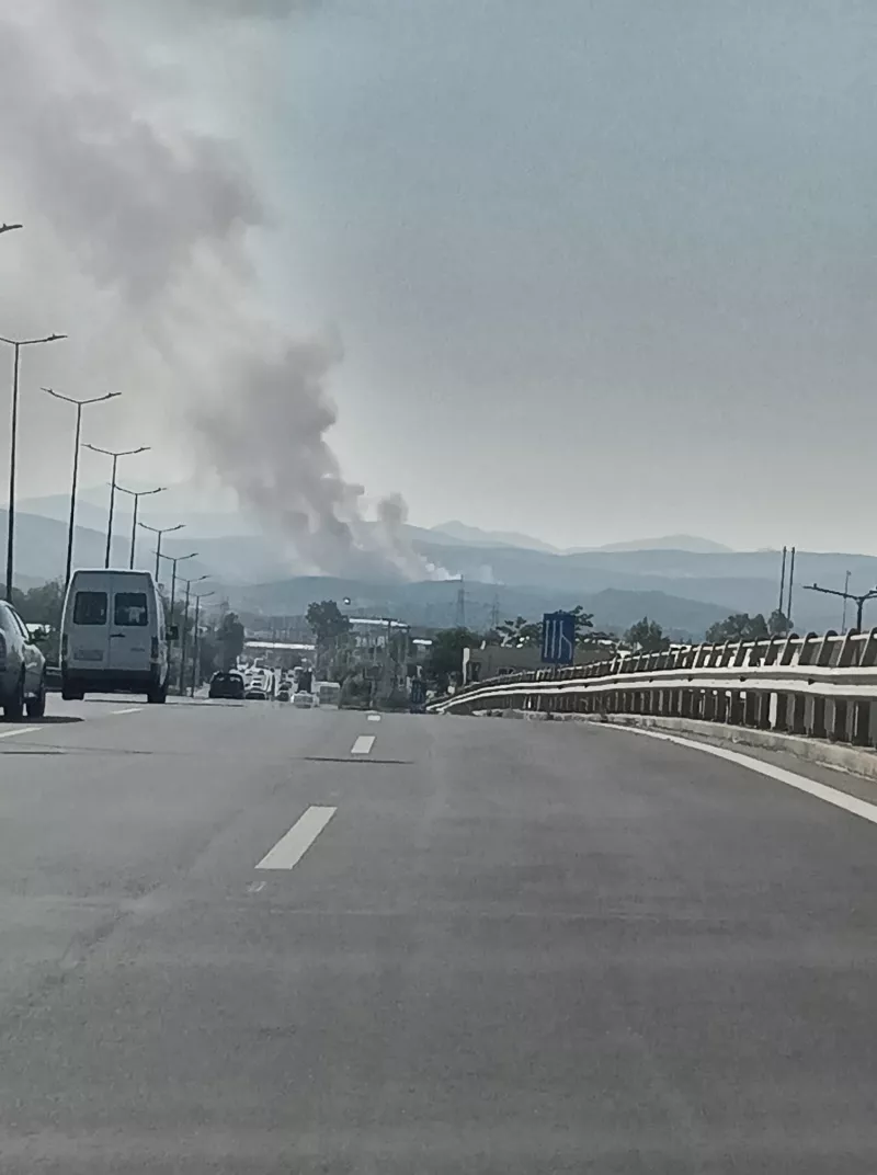 μανδρα