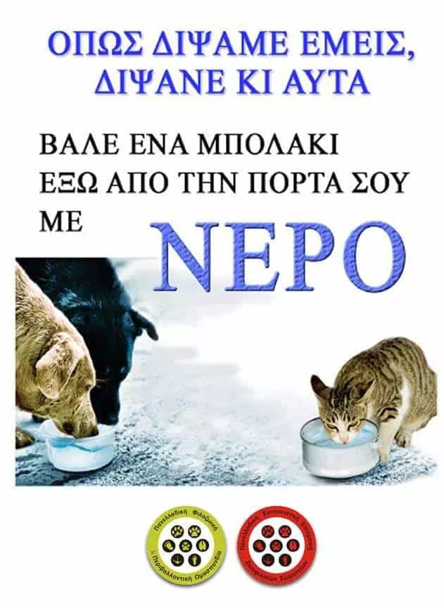 νερο αδεσποτα