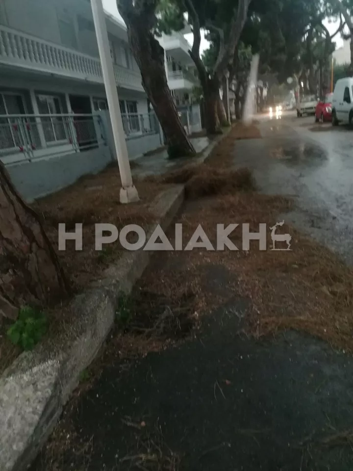 Ροδιακή