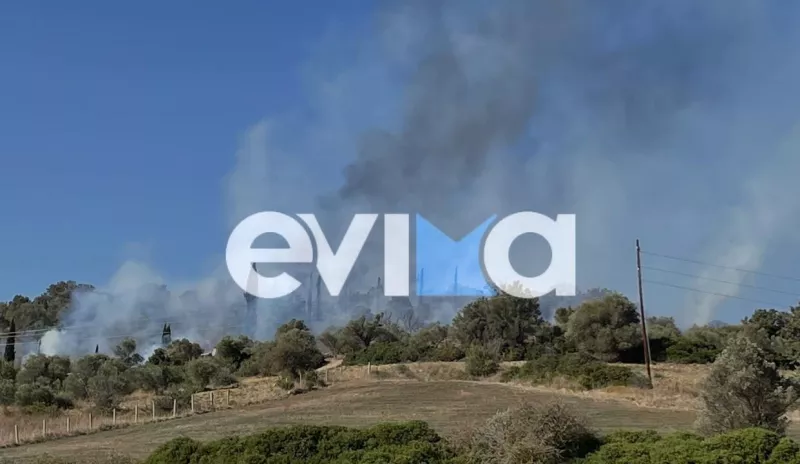 Φωτιά