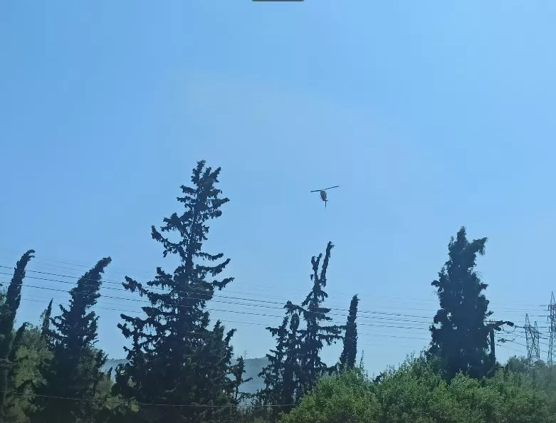 φωτιά