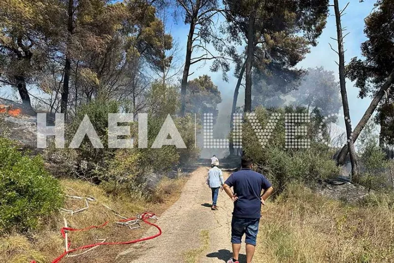 Ηλεία