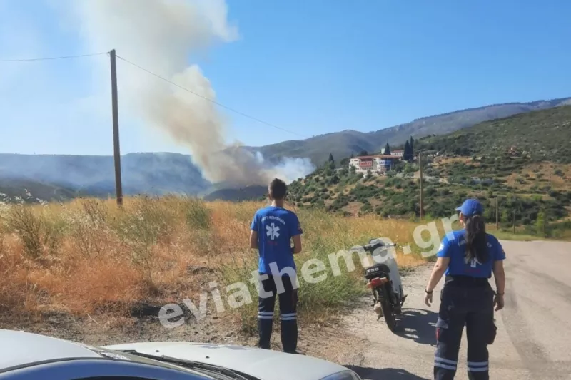 Φωτια ευβοια