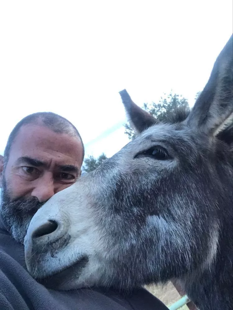Η Γαϊδουροχώρα