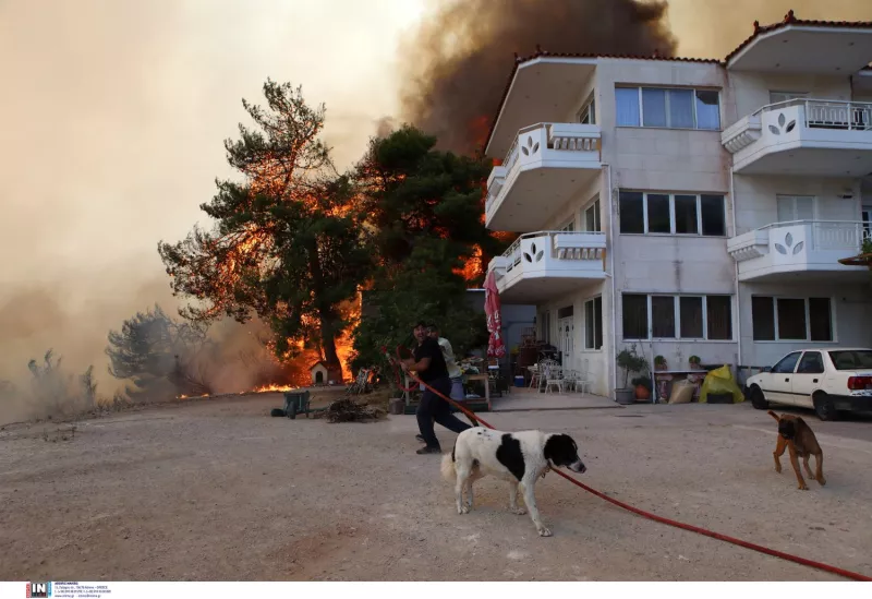 Φυλή