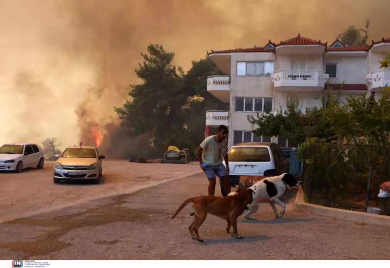 Φυλή
