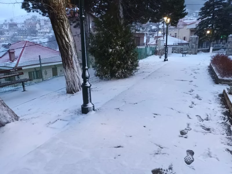 Καρδίτσα