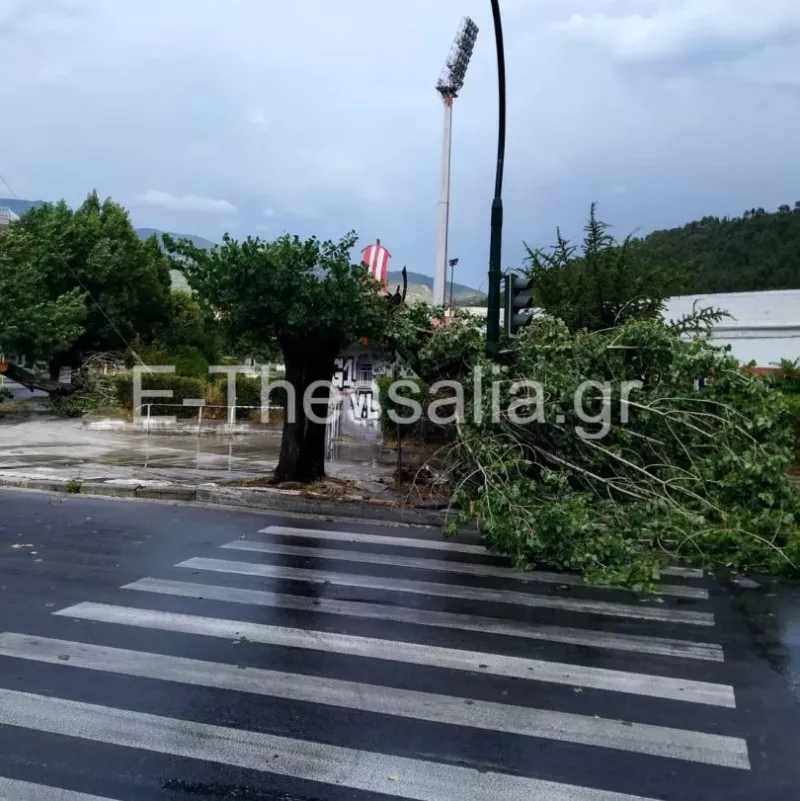 Πτώσεις δέντρων και πλημμυρισμένοι δρόμοι στον Βόλο