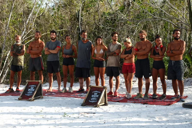 Survivor All Star