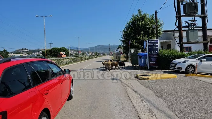 Λαμία