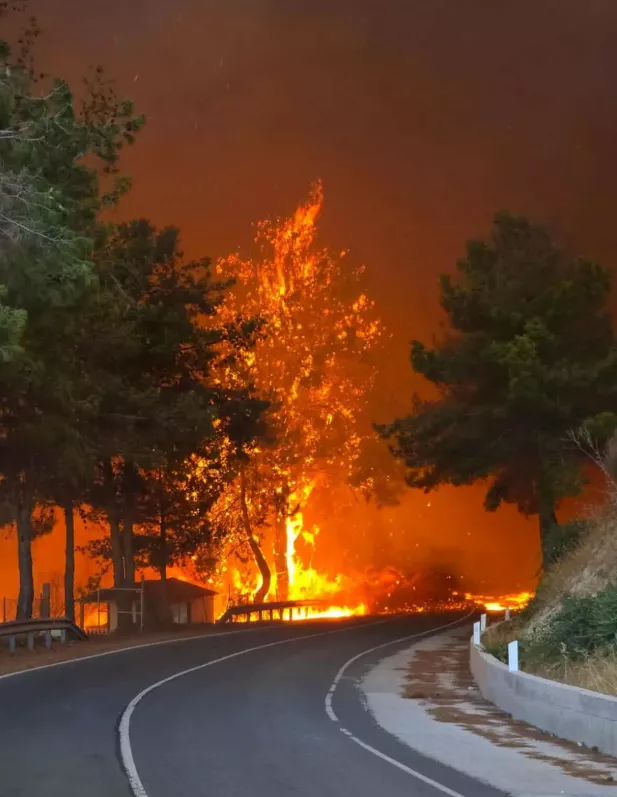 Λεμεσός