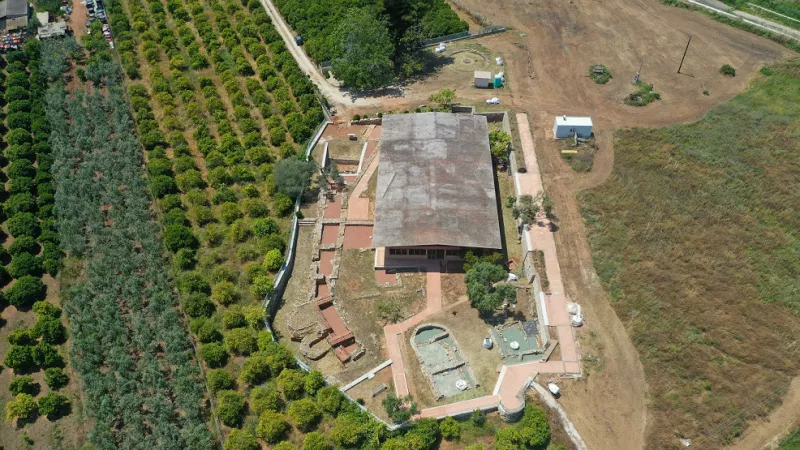 Λέρνα