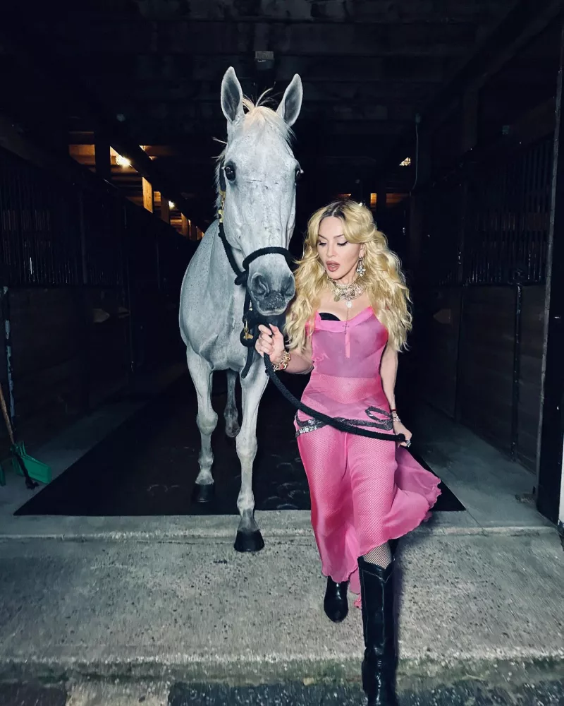 Madonna