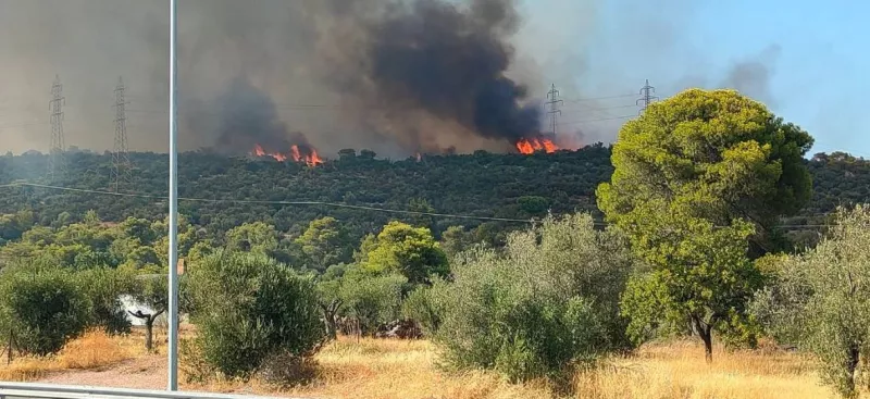 Φωτιά στη Μάνδρα
