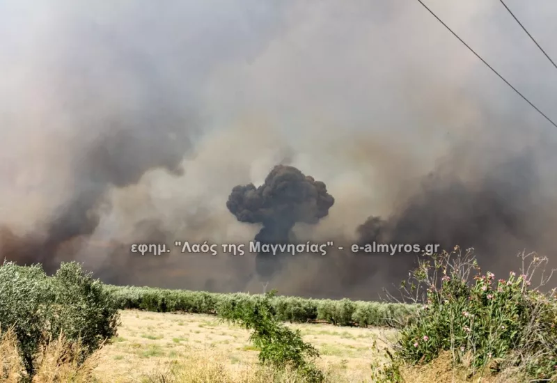Πυρομαχικά