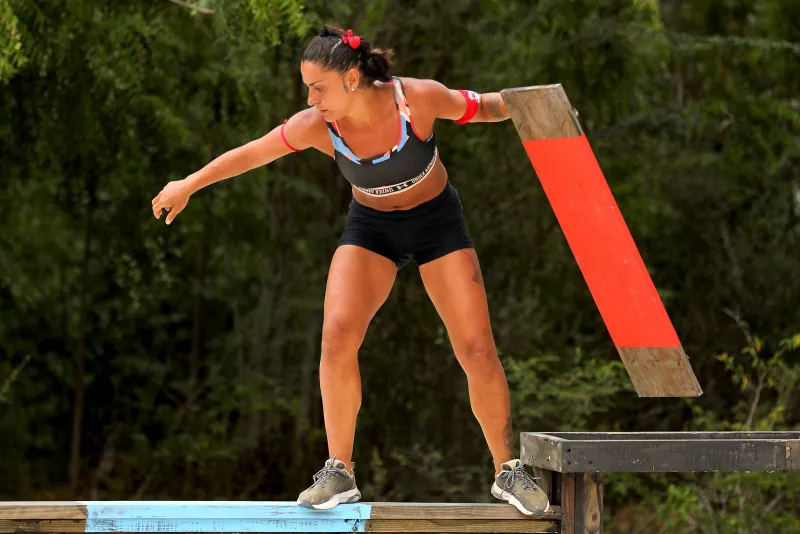 Survivor All Star