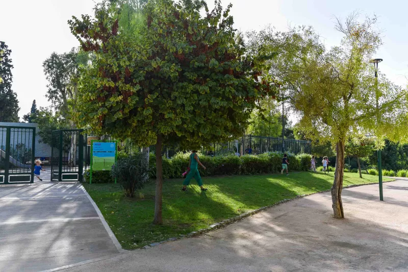 Ο Δήμος Αθηναίων «ομορφαίνει»  τις γειτονιές της Αθήνας 