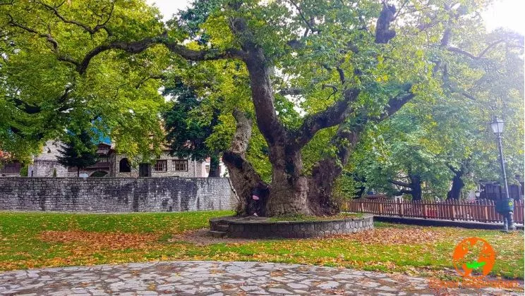 Το Μέτσοβο