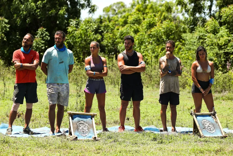 Survivor All Star