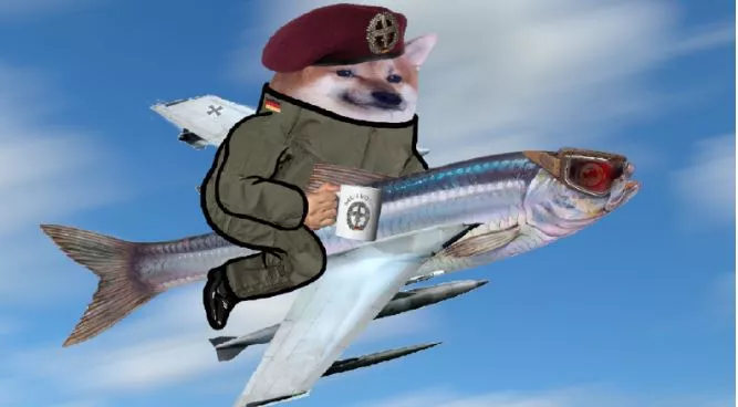 Η ομάδα NAFO
