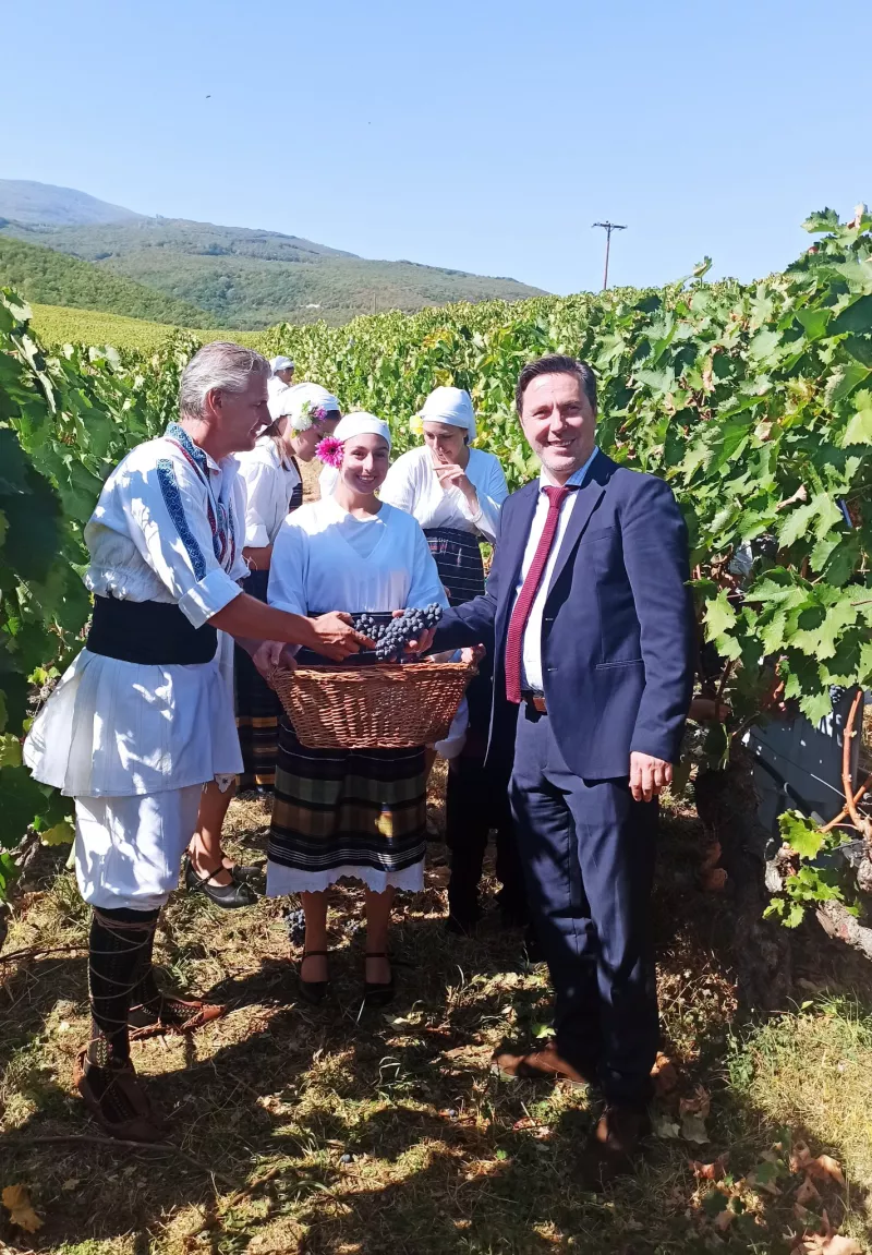 Νάουσα