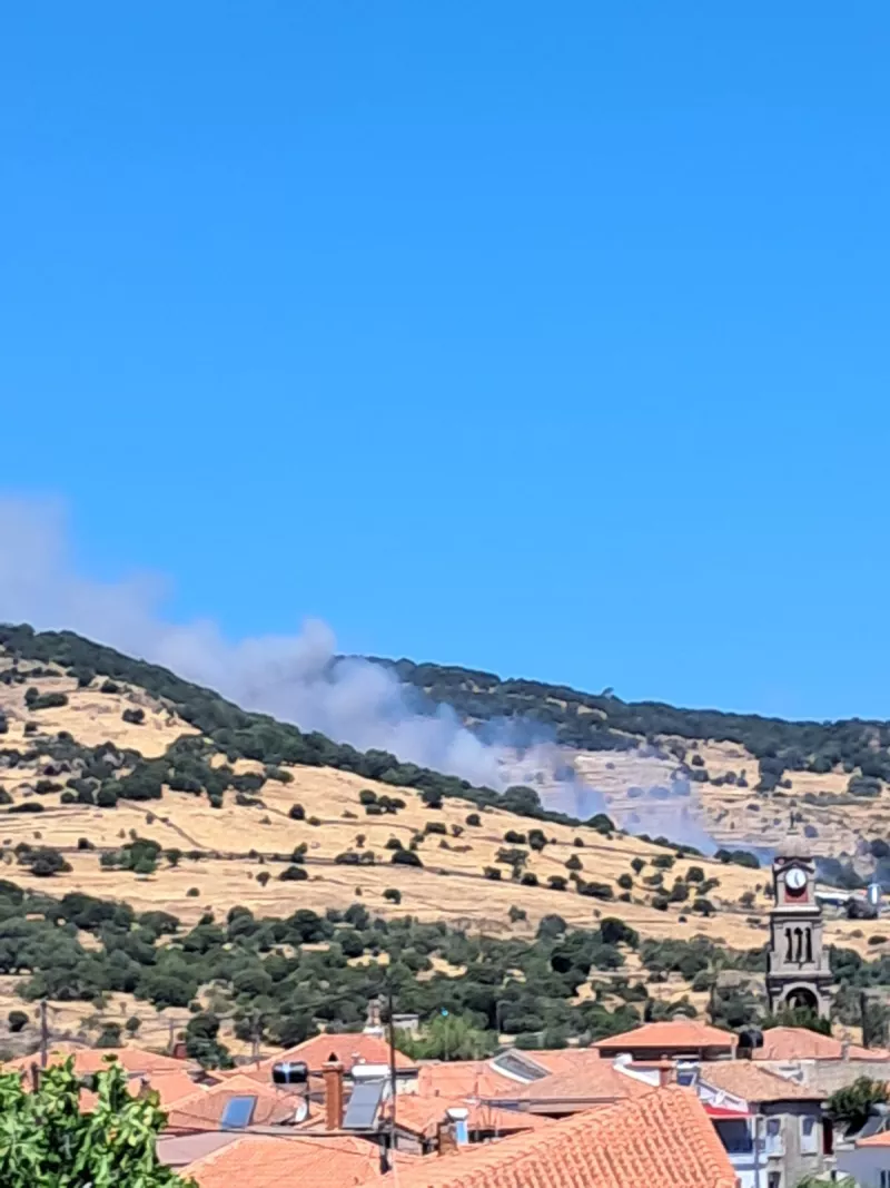 λεσβος φωτια