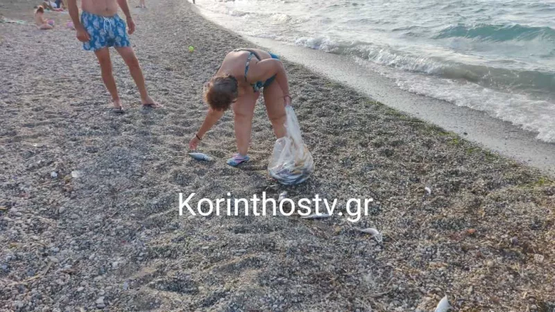 Νεκρά ψάρια