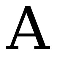 Times New Roman