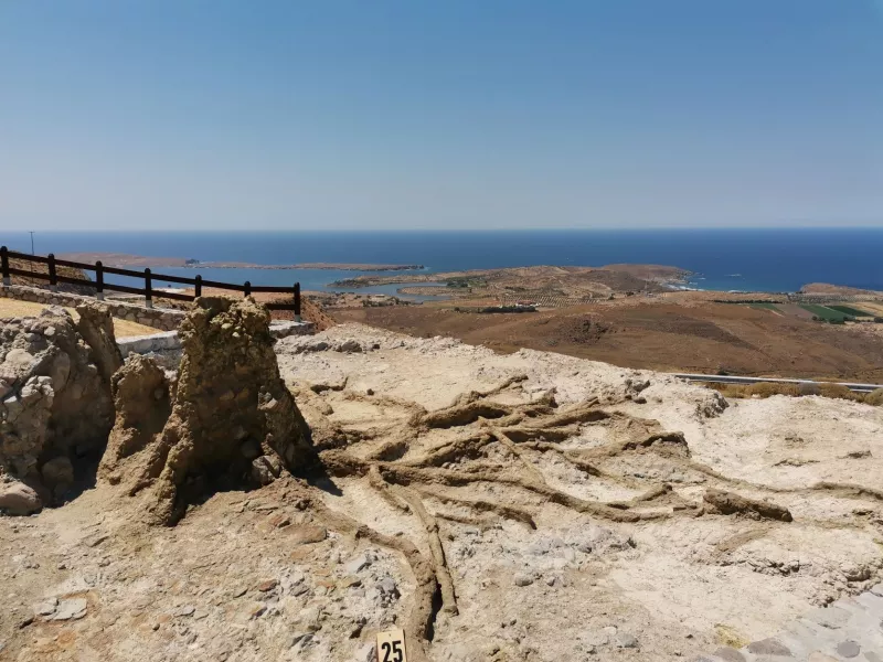 Στη Μυτιλήνη το νέο πάρκο απολιθωμάτων