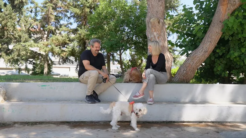 Pet Stories